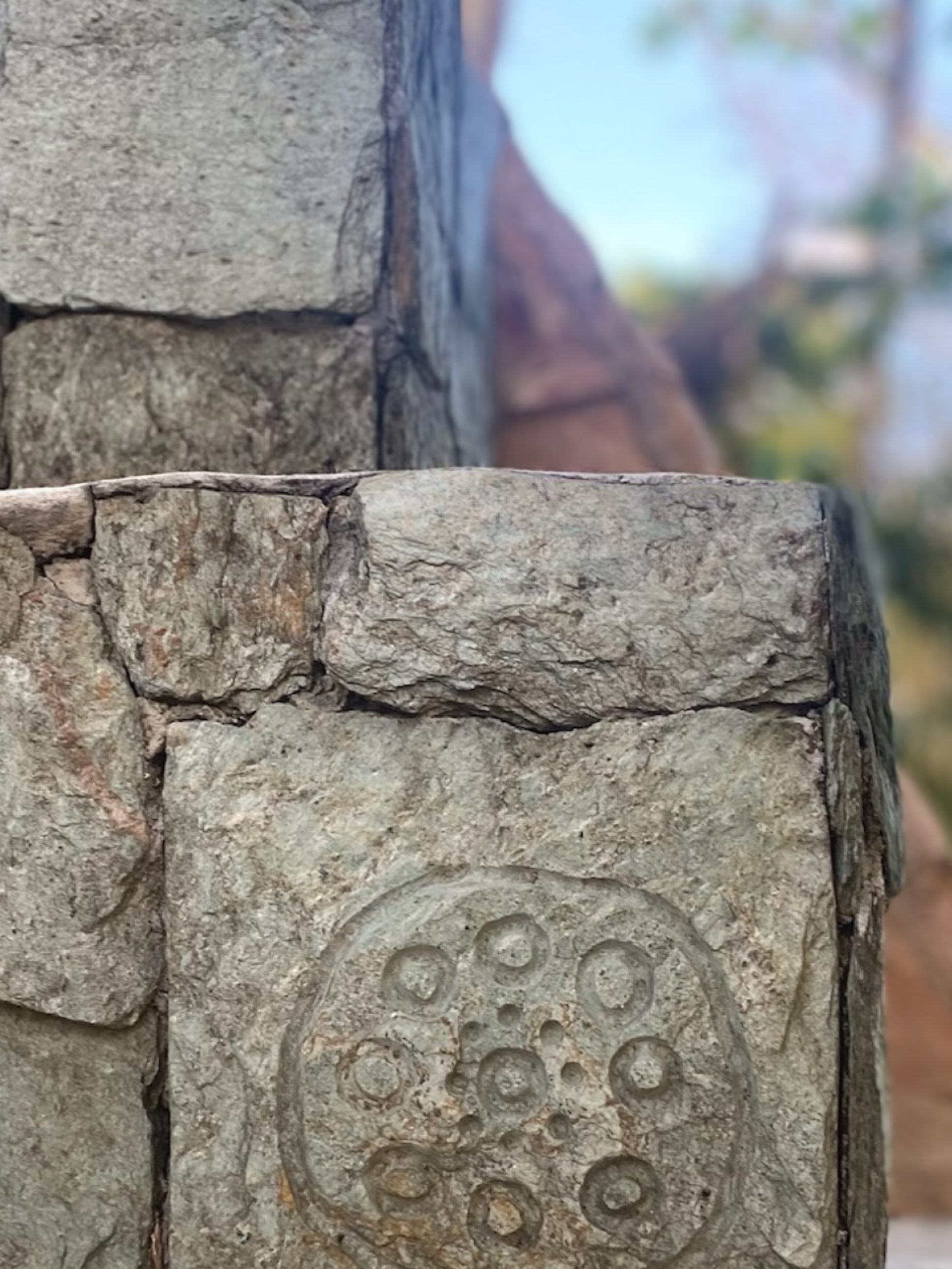 51